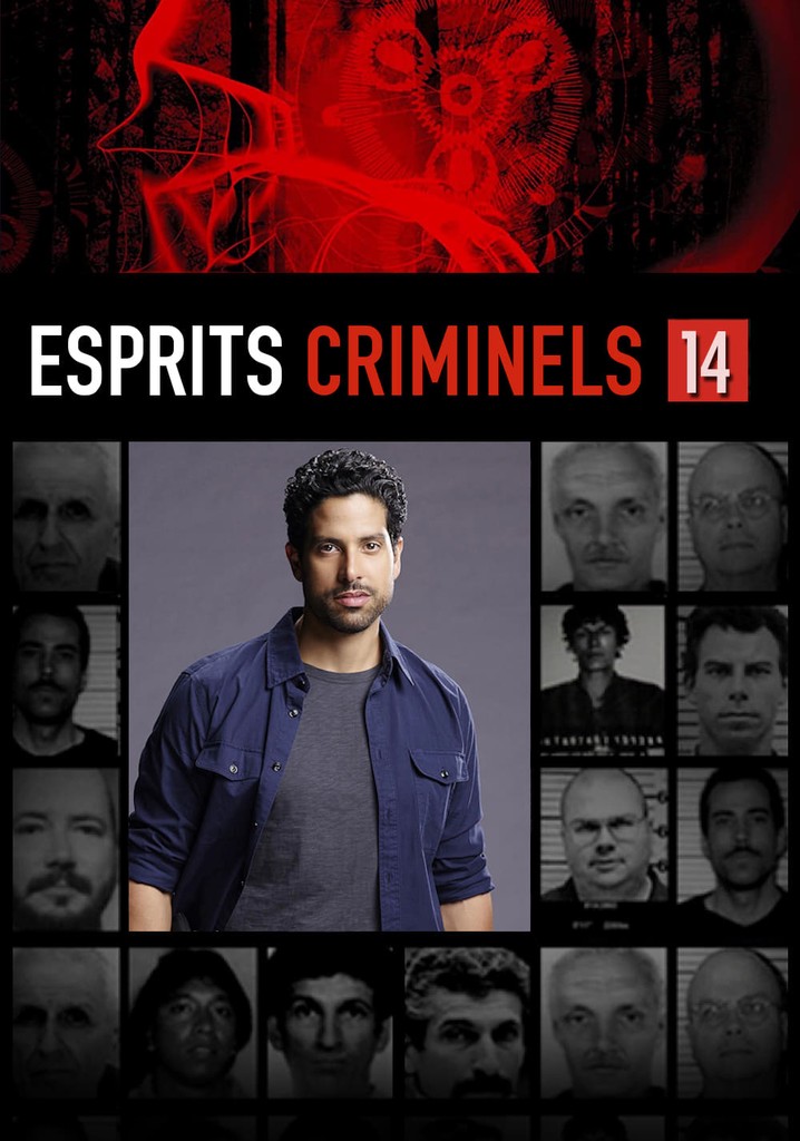 Saison 14 Esprits criminels streaming où regarder les épisodes?